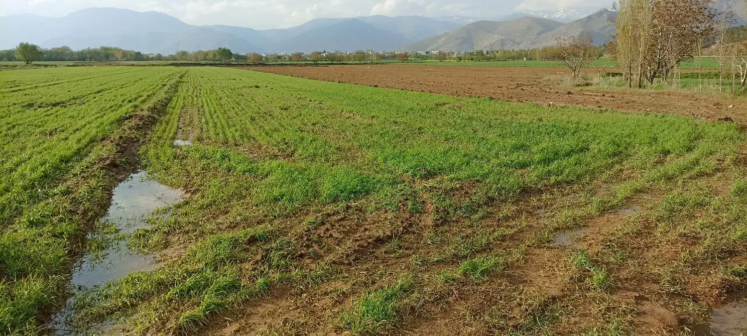 فروش زمین کشاورزی