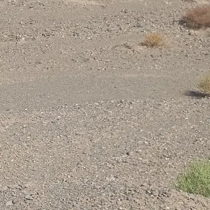 زمین دادگستری خیابان ۱۶ متری اول شمالی پروانه دار
