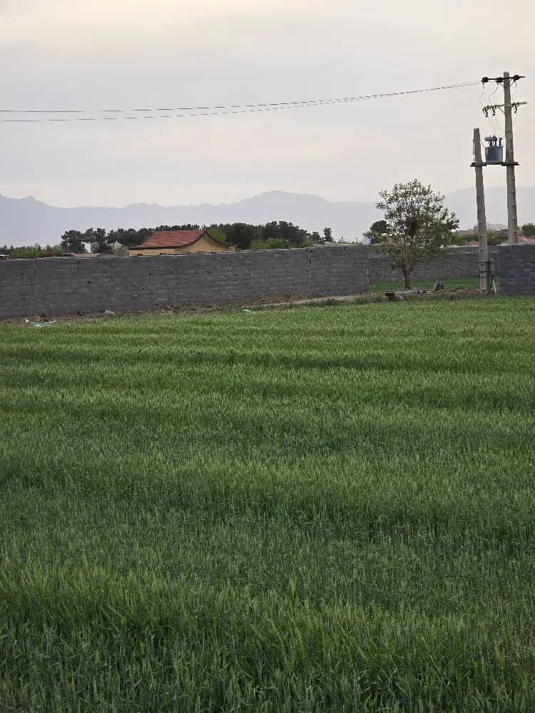 چهار دیواری بامجوز
