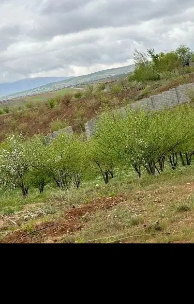 زمین خام باغ شهری کودیان