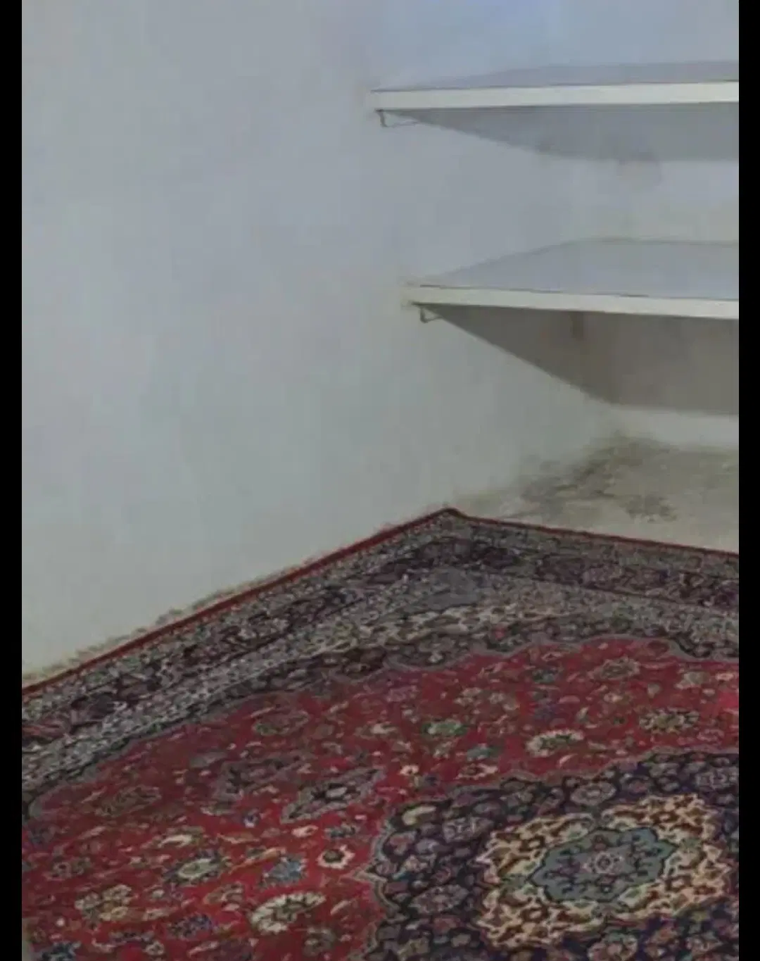 سوئیت تمیز