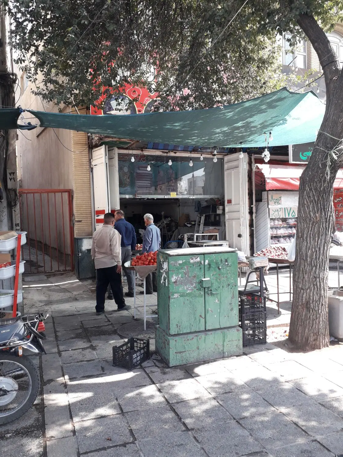 تجاری بر بلوار سیبویه
