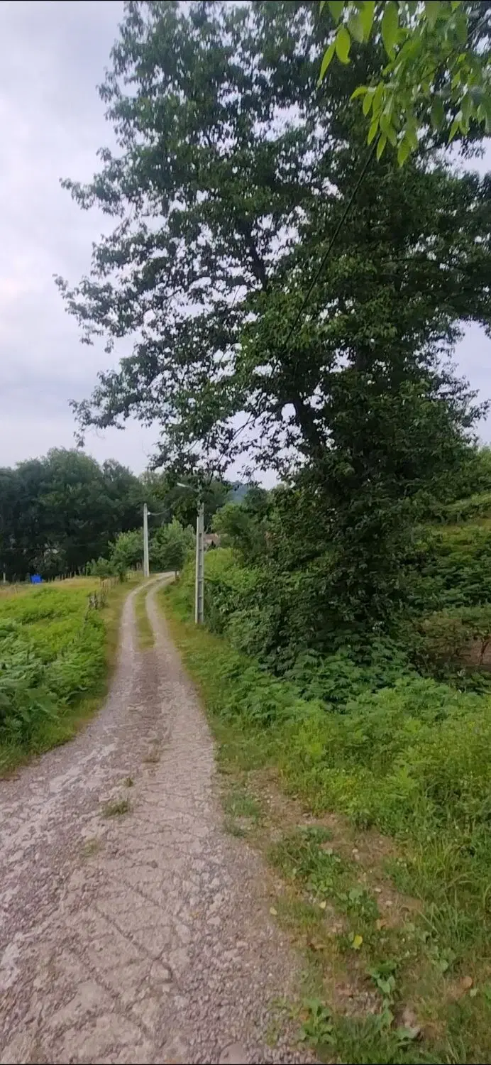 باغی داخل طرح  هادی