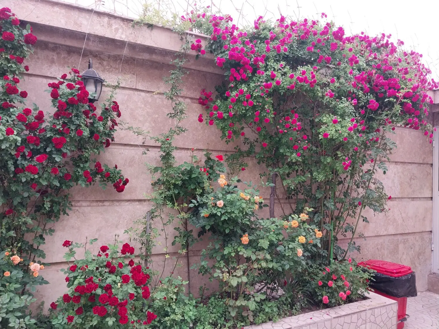 ویلایی مرکز شهر