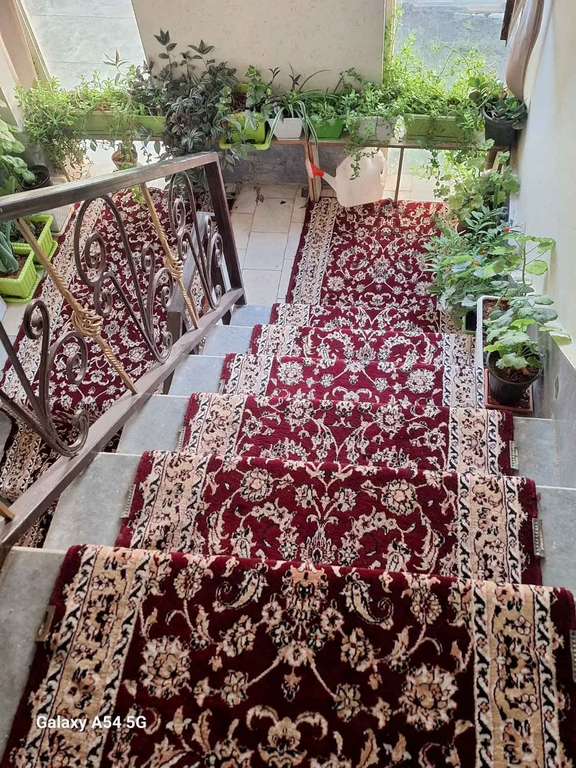 فتح شیاکو انتهای نمکوریا