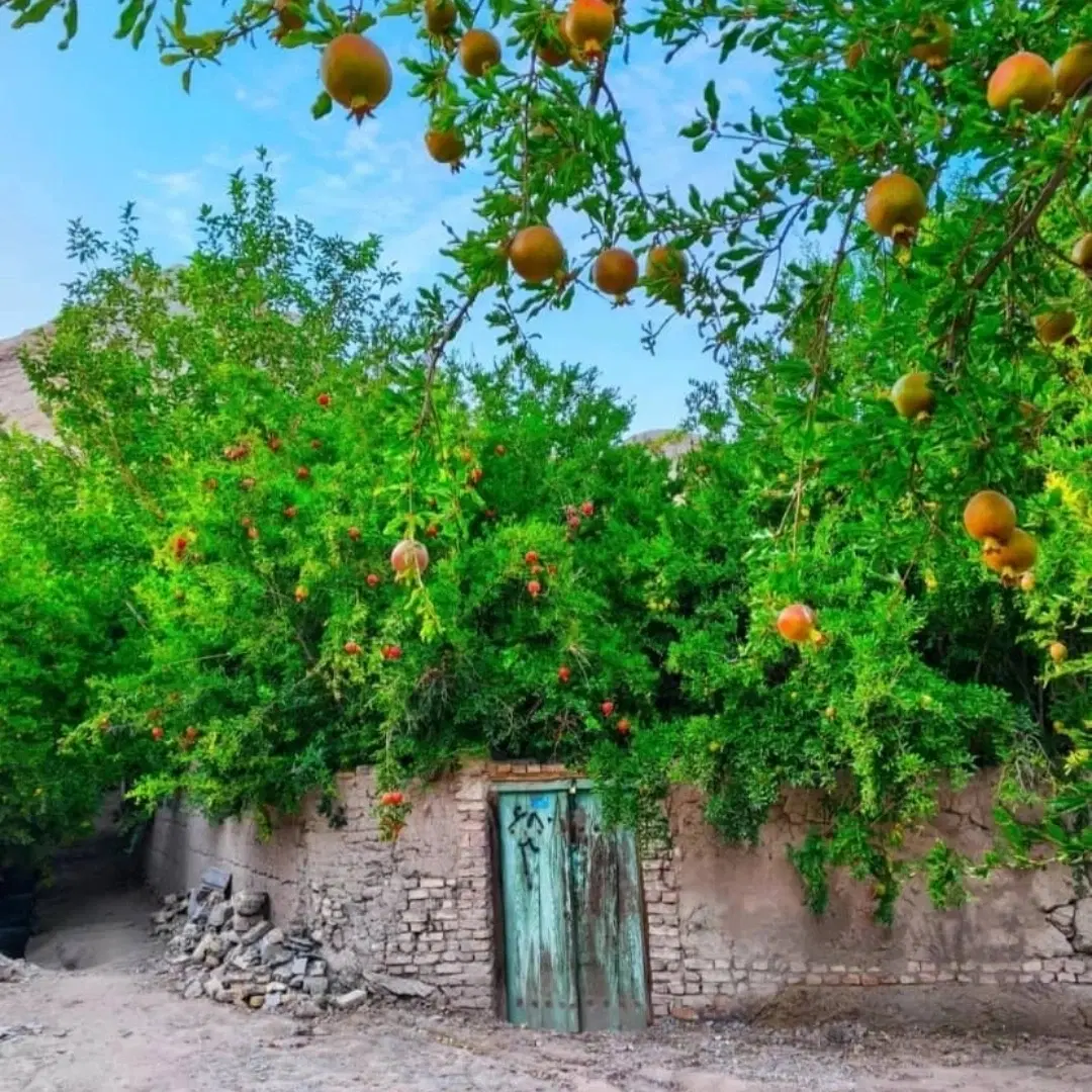 زمین ۵۰۰ متری آخر فرهنگ شهر