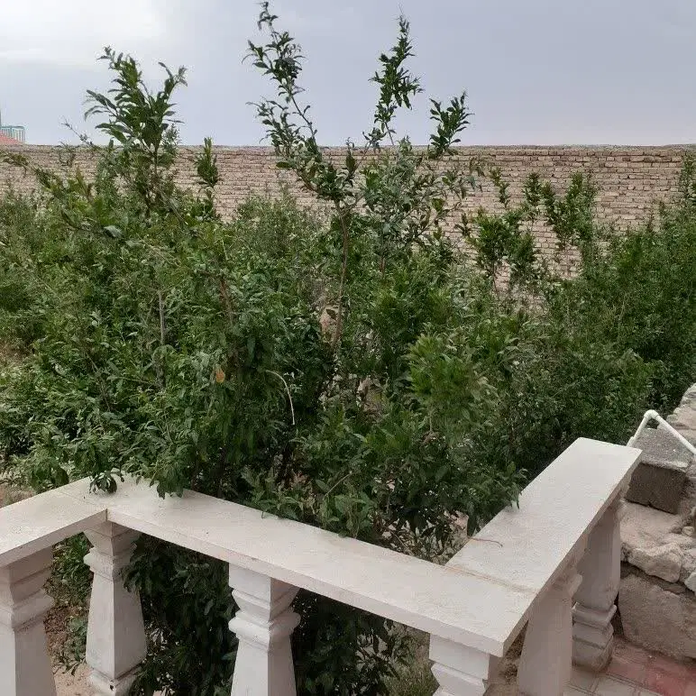 باغ (سنگ سفید)