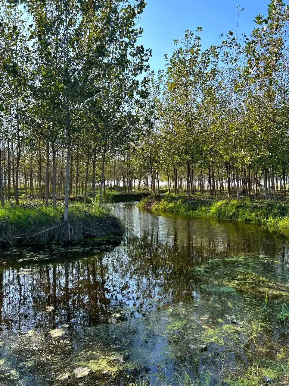 یک‌بار خرید_یک عمر امنیت