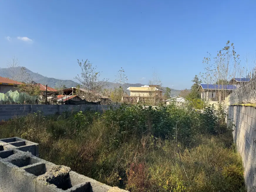 زمین پروانه دار کوهپایه ای