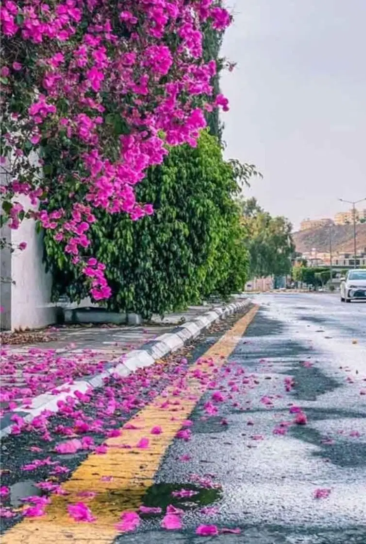 زمین مسکونی باغنو گیلورانی