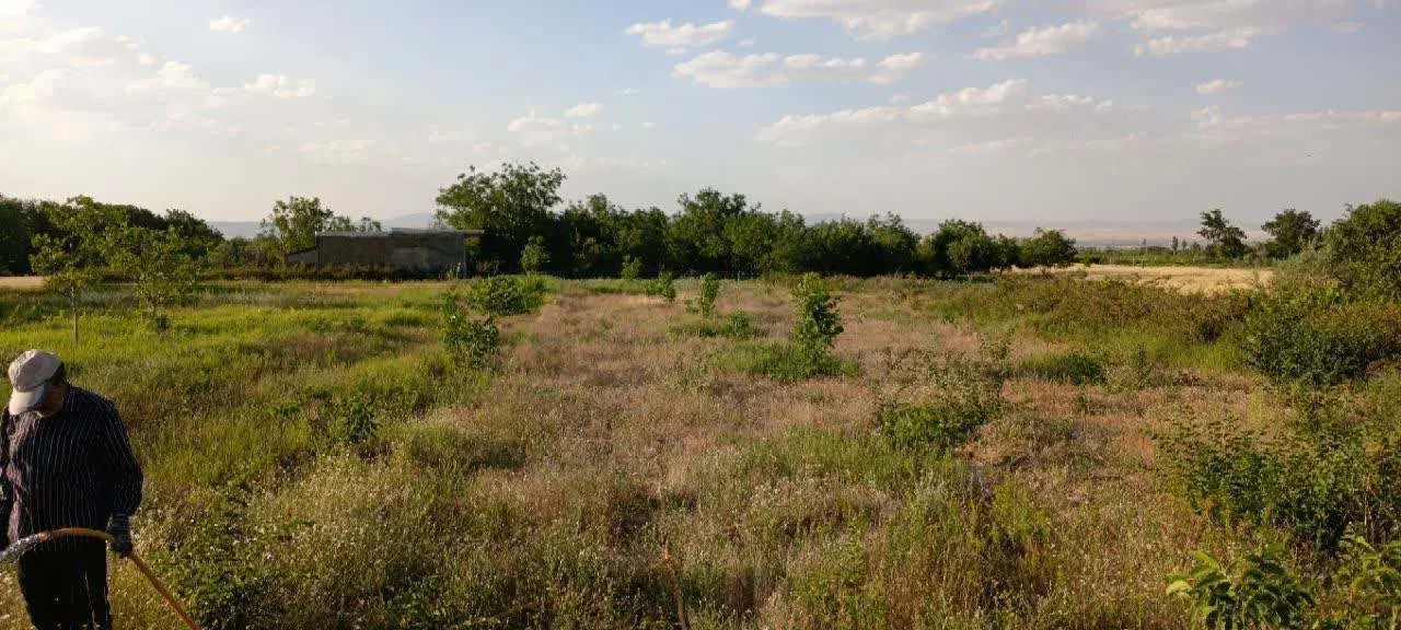 زمین باغی