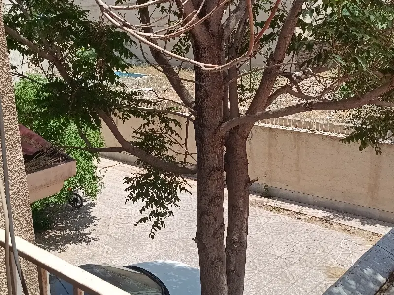 فروش ویلایی ۵۰۰متری گلستان باغستان(اشتراکی جنوبی)