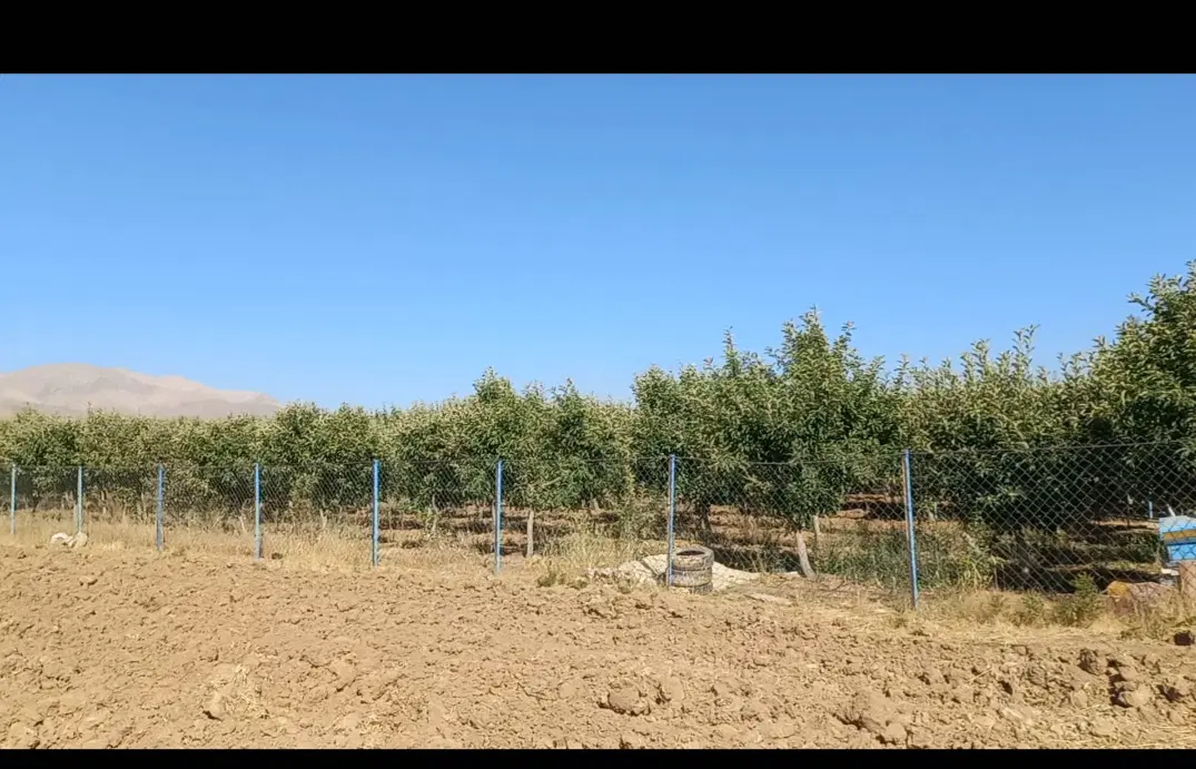 زمین باغی ۳هزار متری