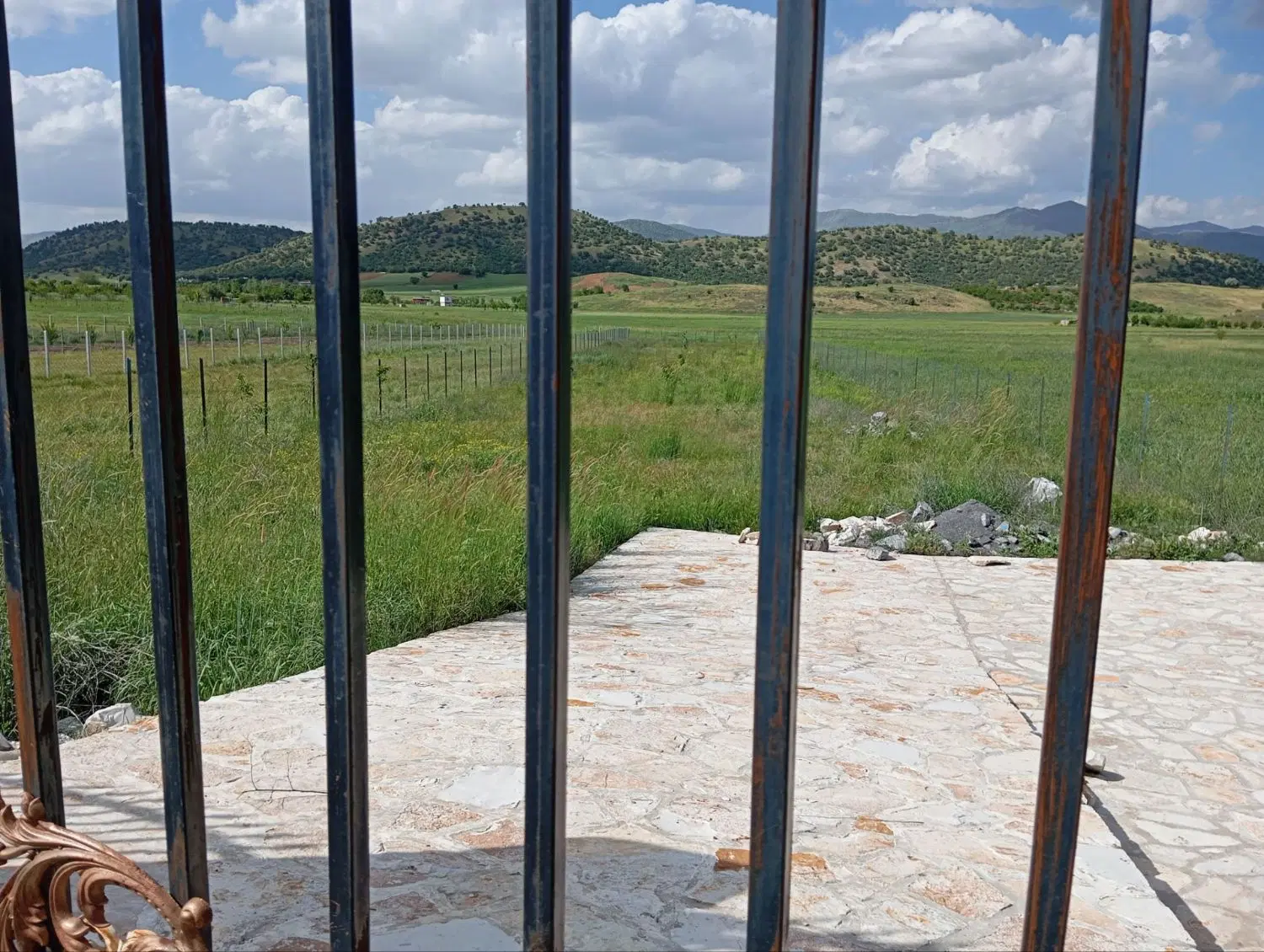 زمین  باغی