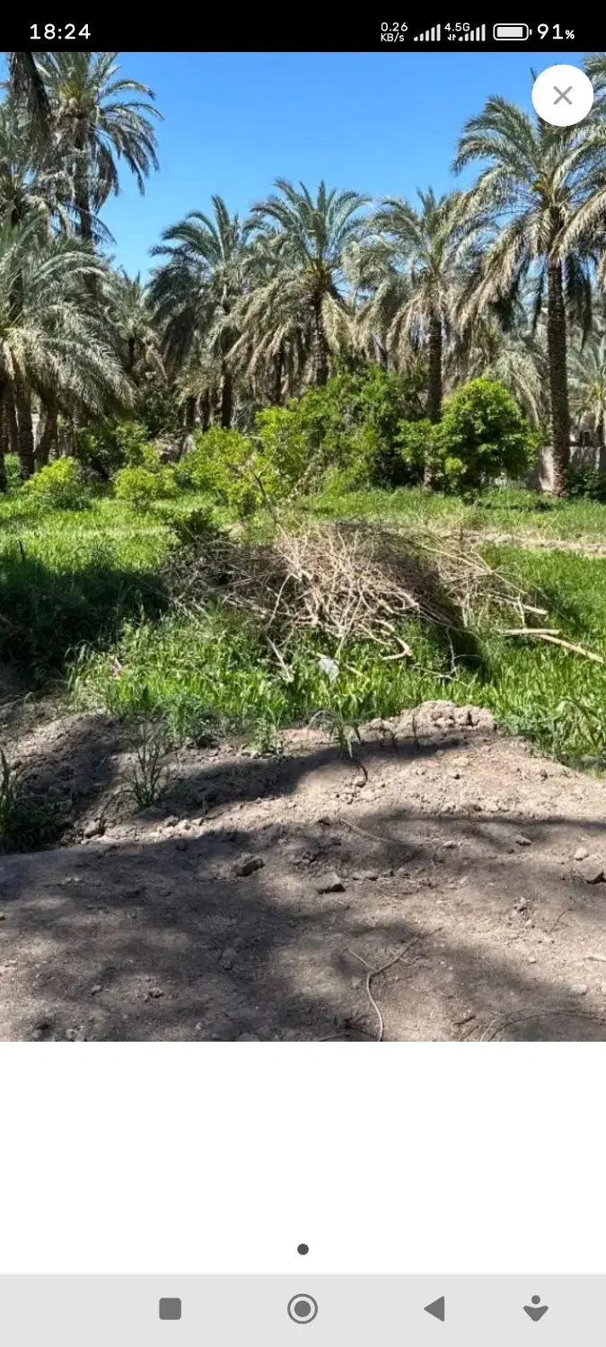 فروش زمین باغی