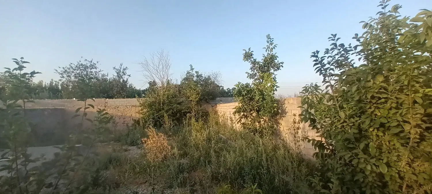 باغ میوه ۵۰۰ متری