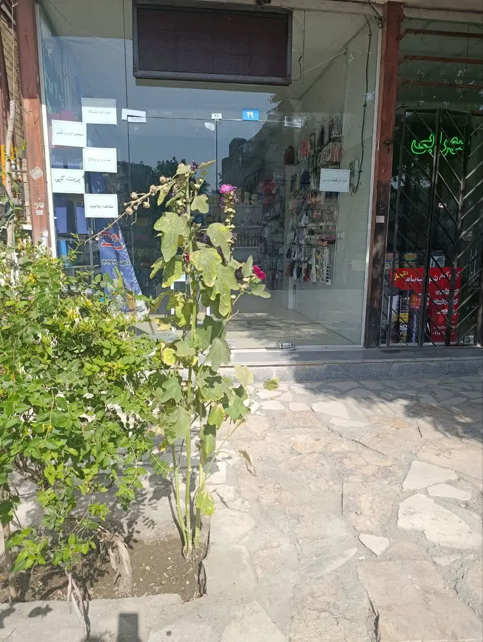 مغازه اجاره ای