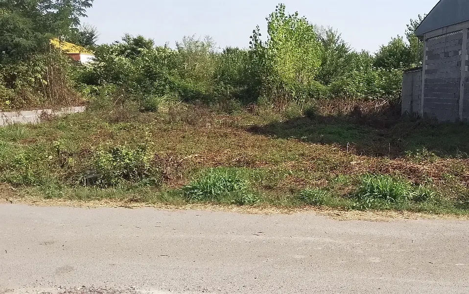 ۲۶۵ متر زمین مسکونی سنددار در جاده پیربازار