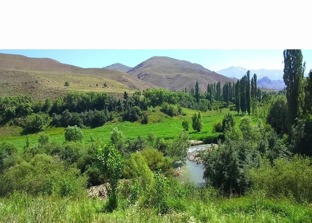 زمین مسکونی بهترین لوکیشن در روستای اوز منطقه بلده