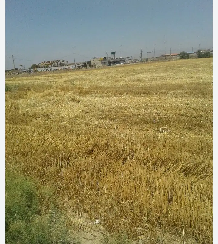 ۲۵۰۰متر زمین کهریزک شوراباد