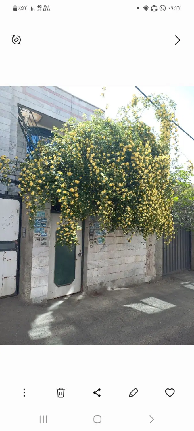 اجاره خانه در بستی