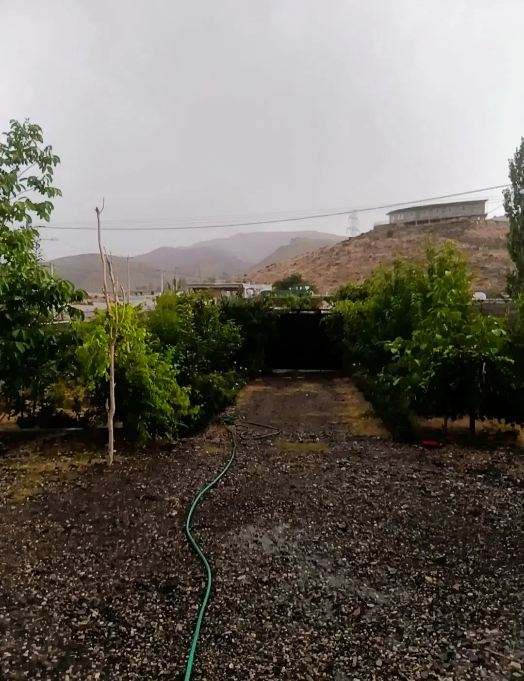 خانه اجاره ای در بم دهبکری