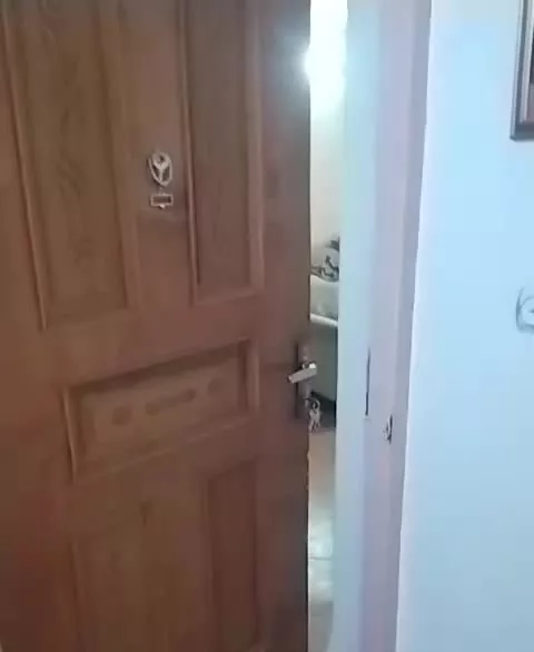 اجاره آپارتمان در شهر قدس