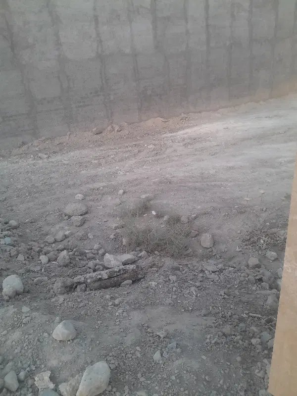زمین با سند_خیابان امیرکبیر_بالته