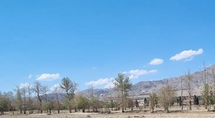 زمین ۱۰ هزار متری سند دار گرمدره