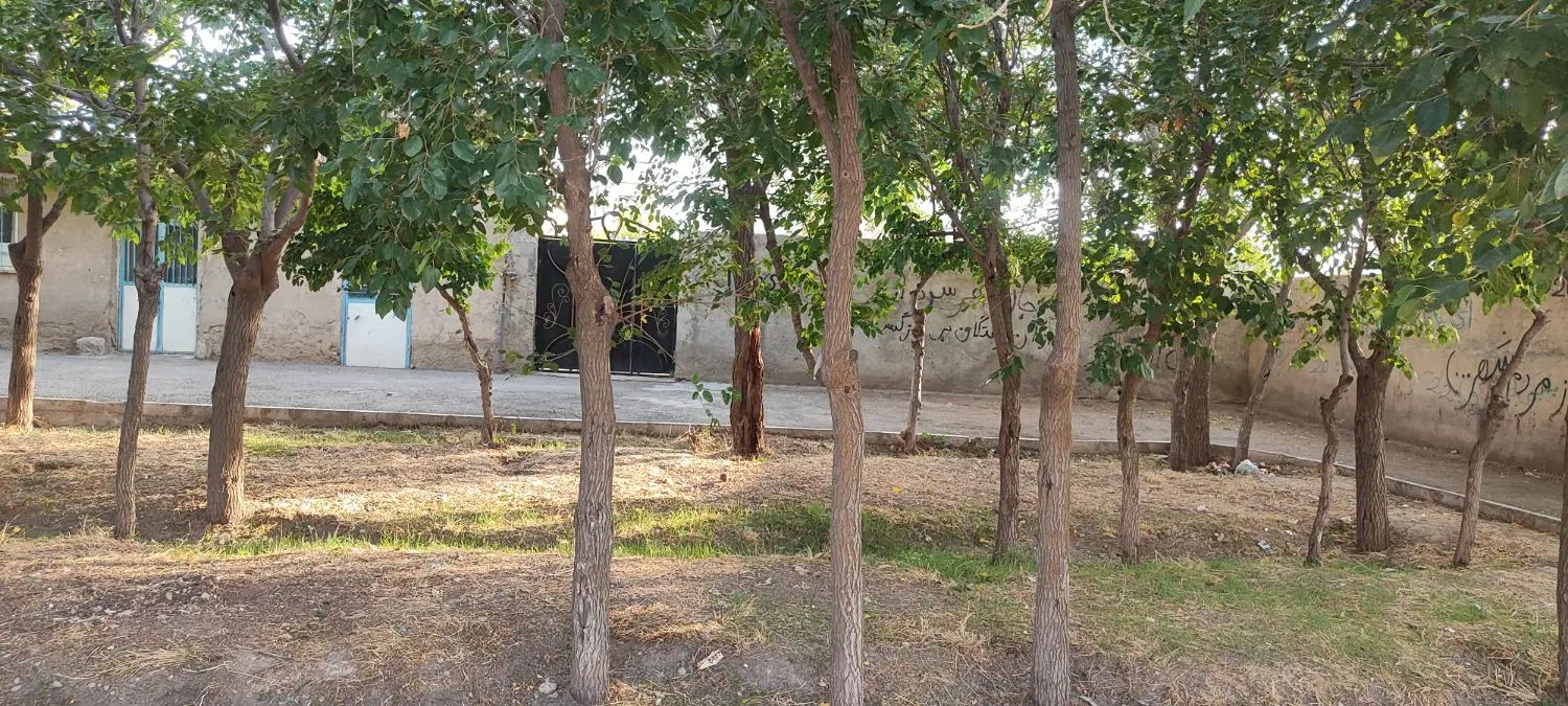 ملک کلنگی