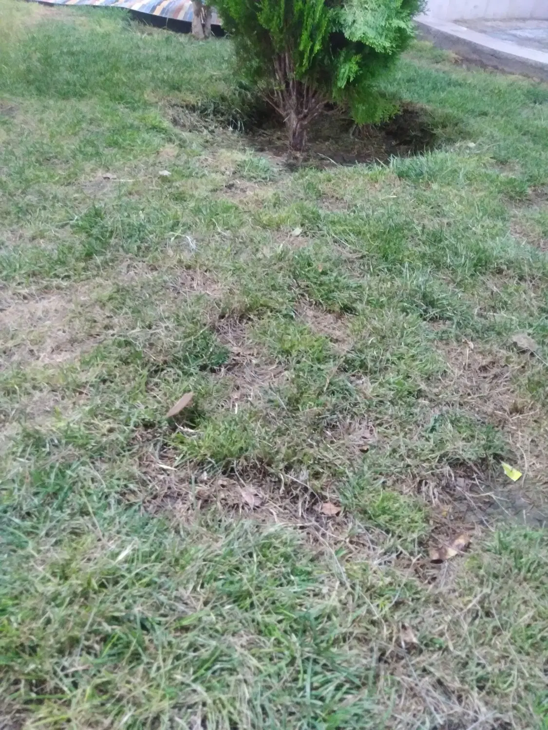 سوییت ۴۵ متری همکف