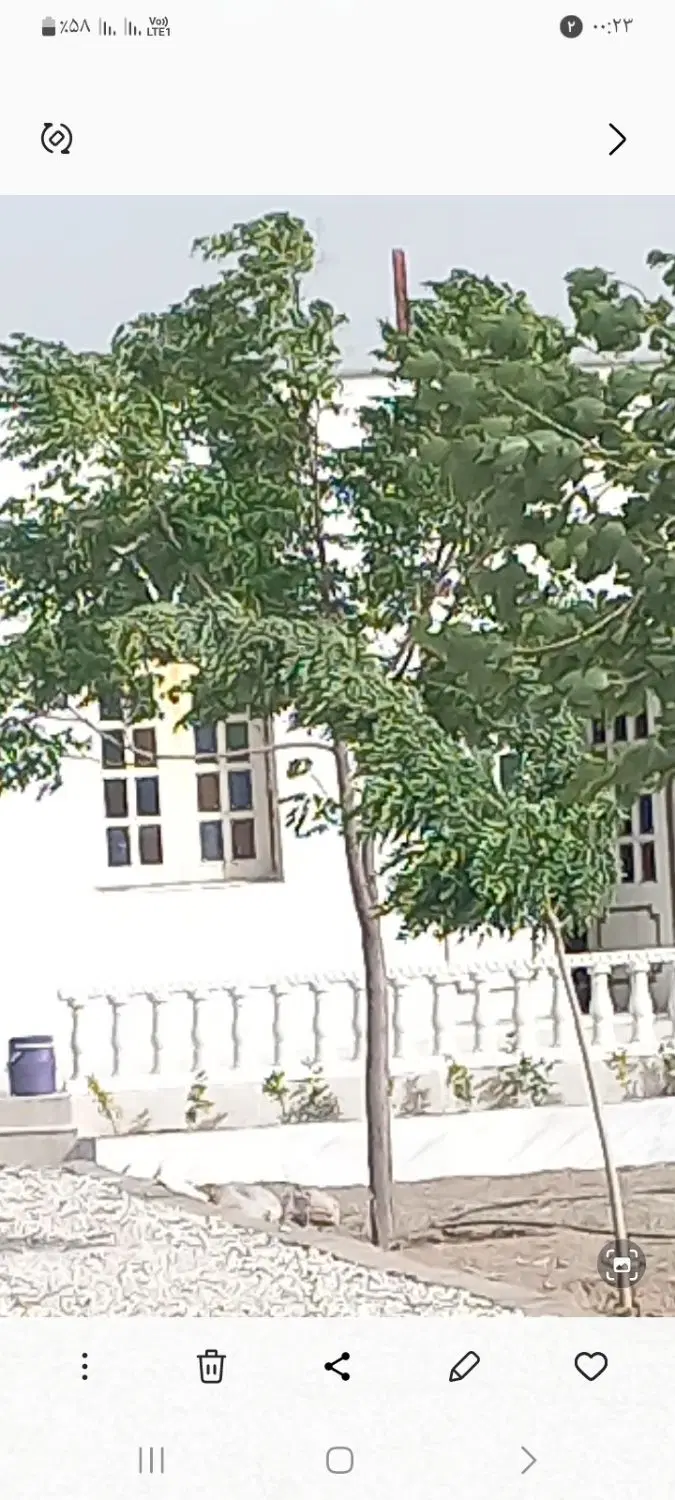 خانه باغ دهسراج