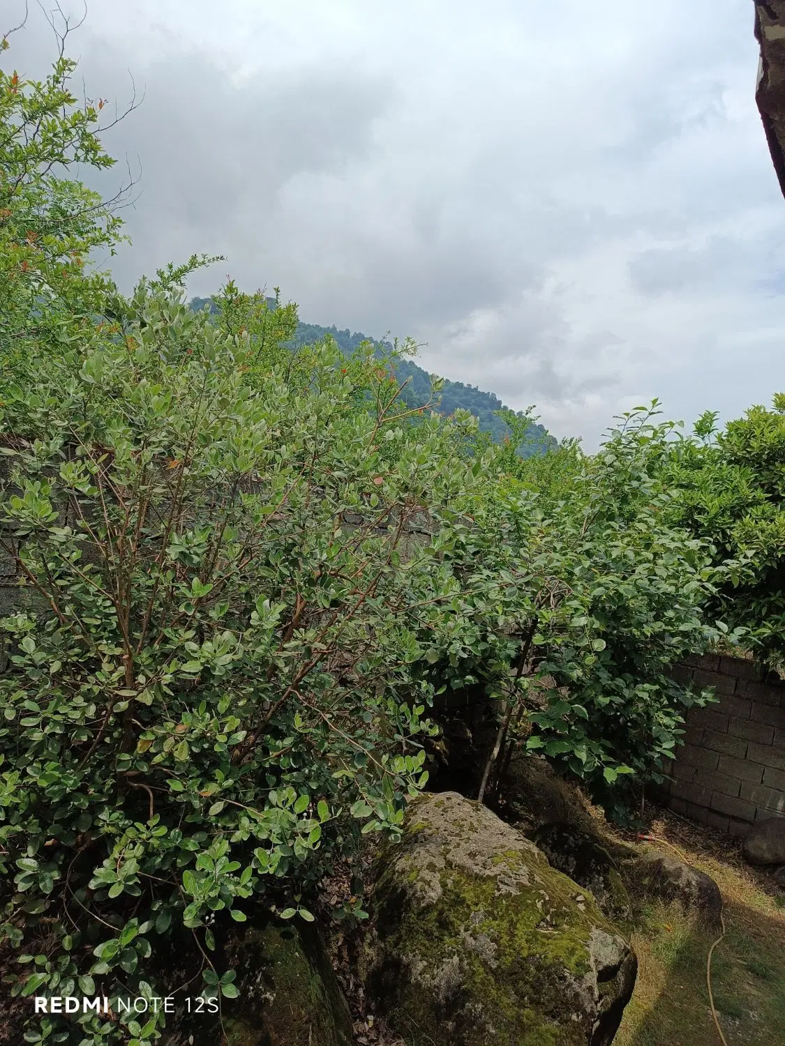 منزل ویلایی در گیلان