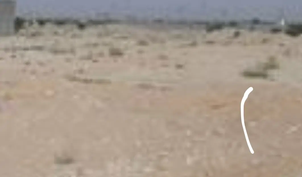 فروش زمین