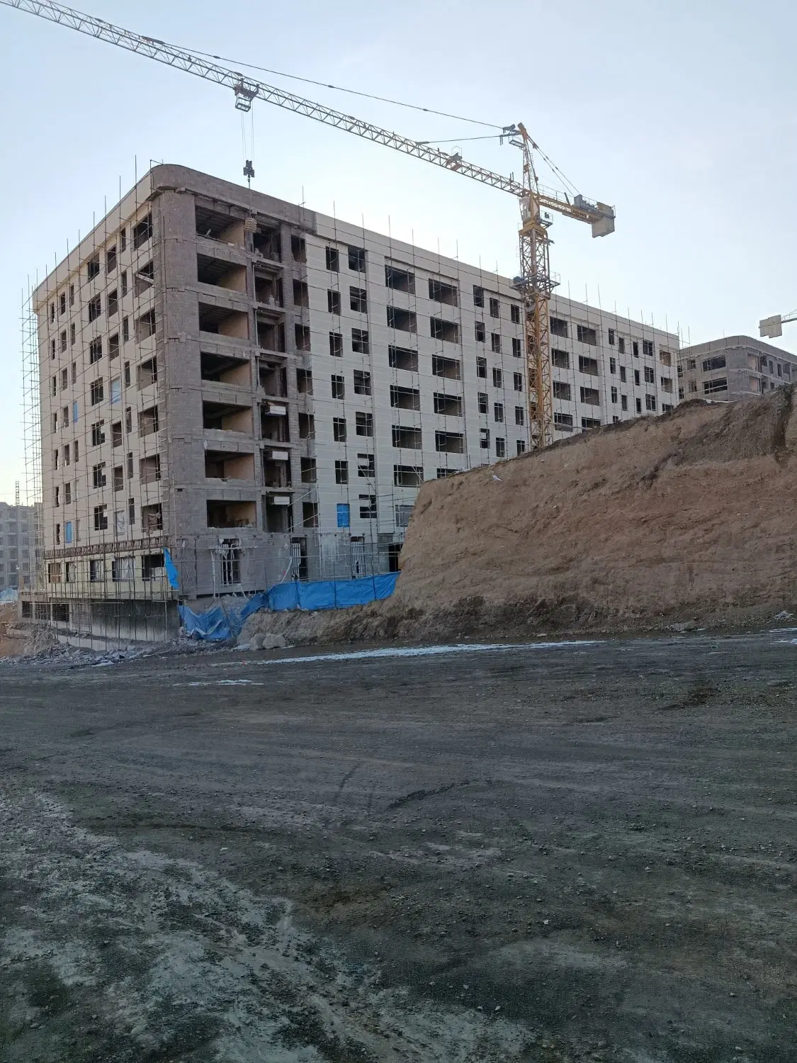 ملی تحویلی پردیس