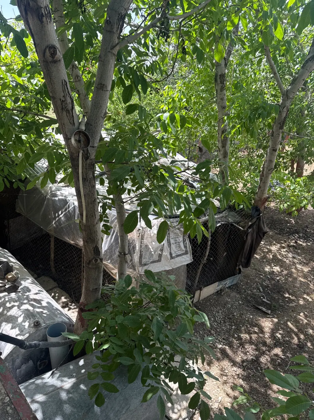زمیین فروشی با۲۳۰ متربنا