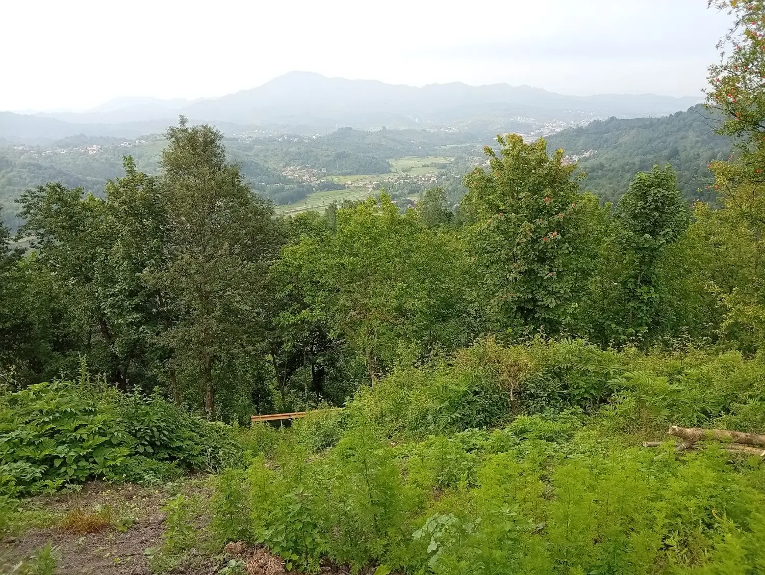 ۴۵۰ متر زمین مسکونی ویودار اطراف (اطاقور)