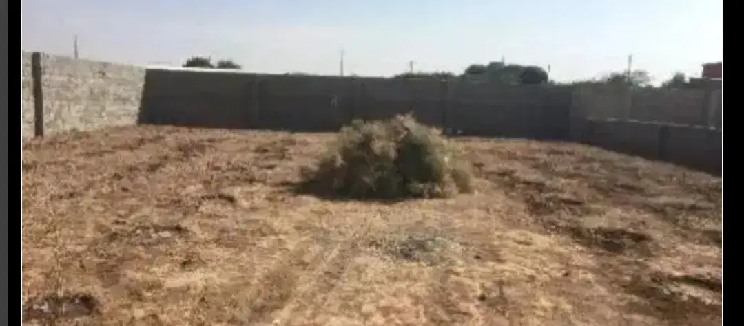 چهار دیواری باغی زیار