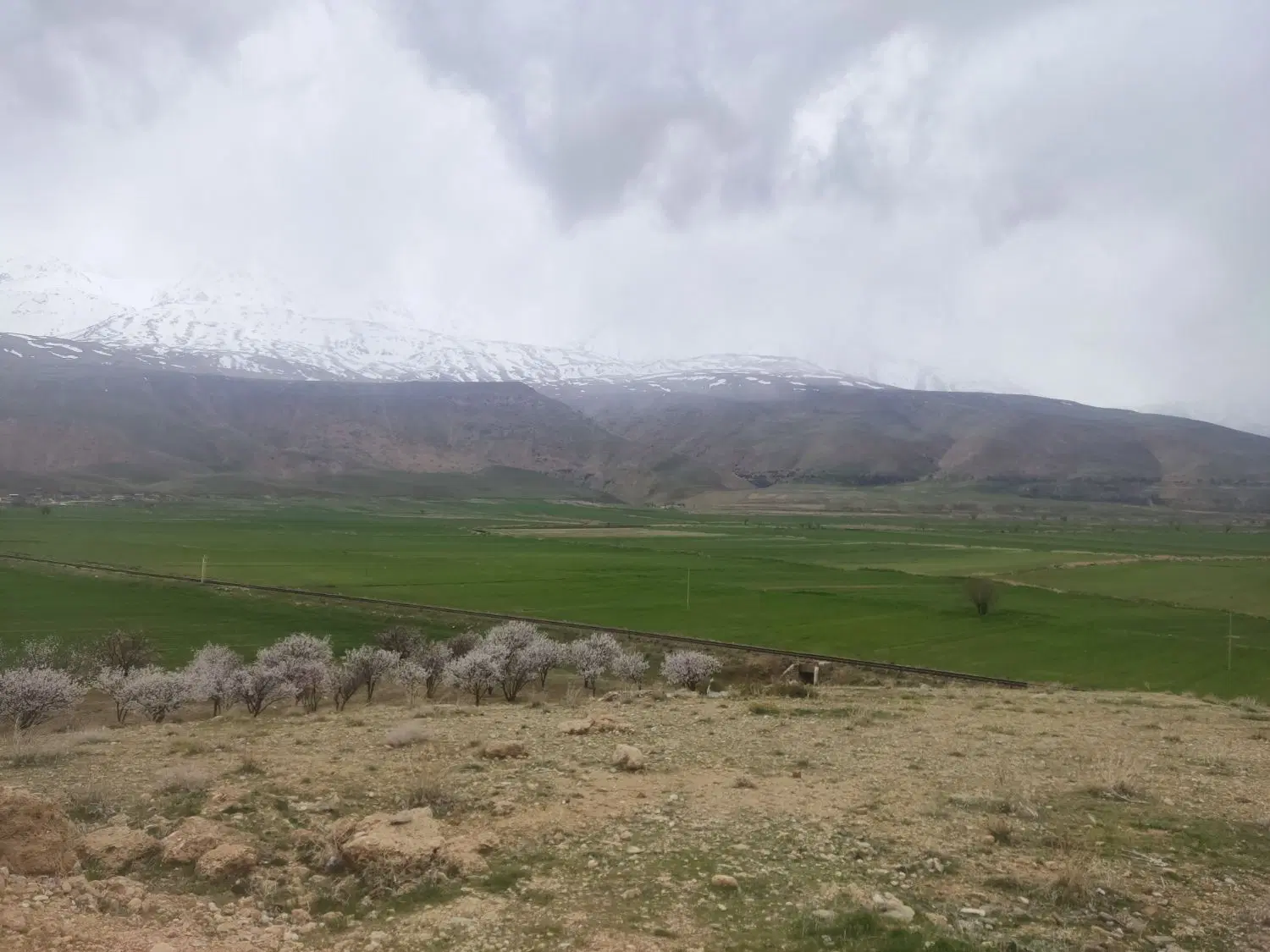 فروش زمین 500متری گاوخانه
