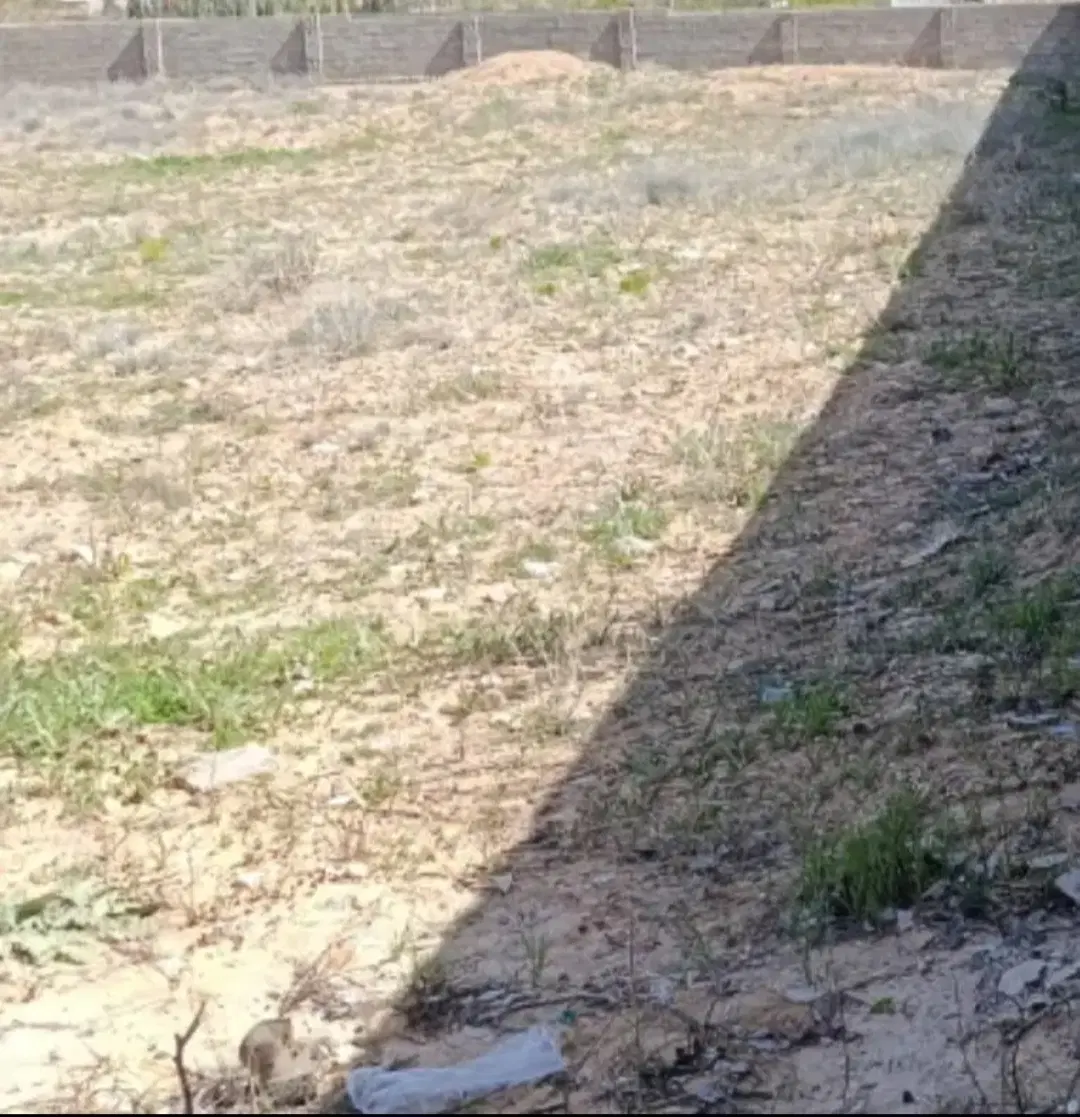اجاره زمین محصور جوادیه(پردیس)