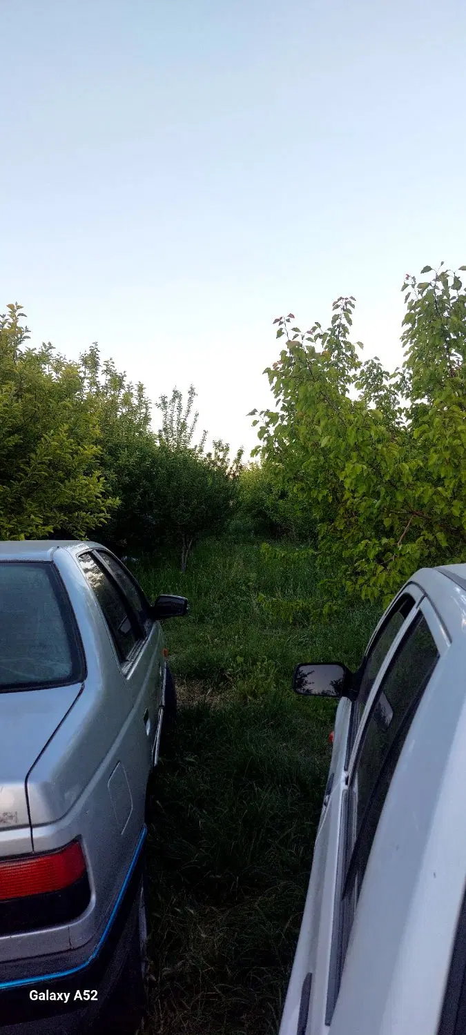 باغ درجاده سنتو ۱۰۰۰متر