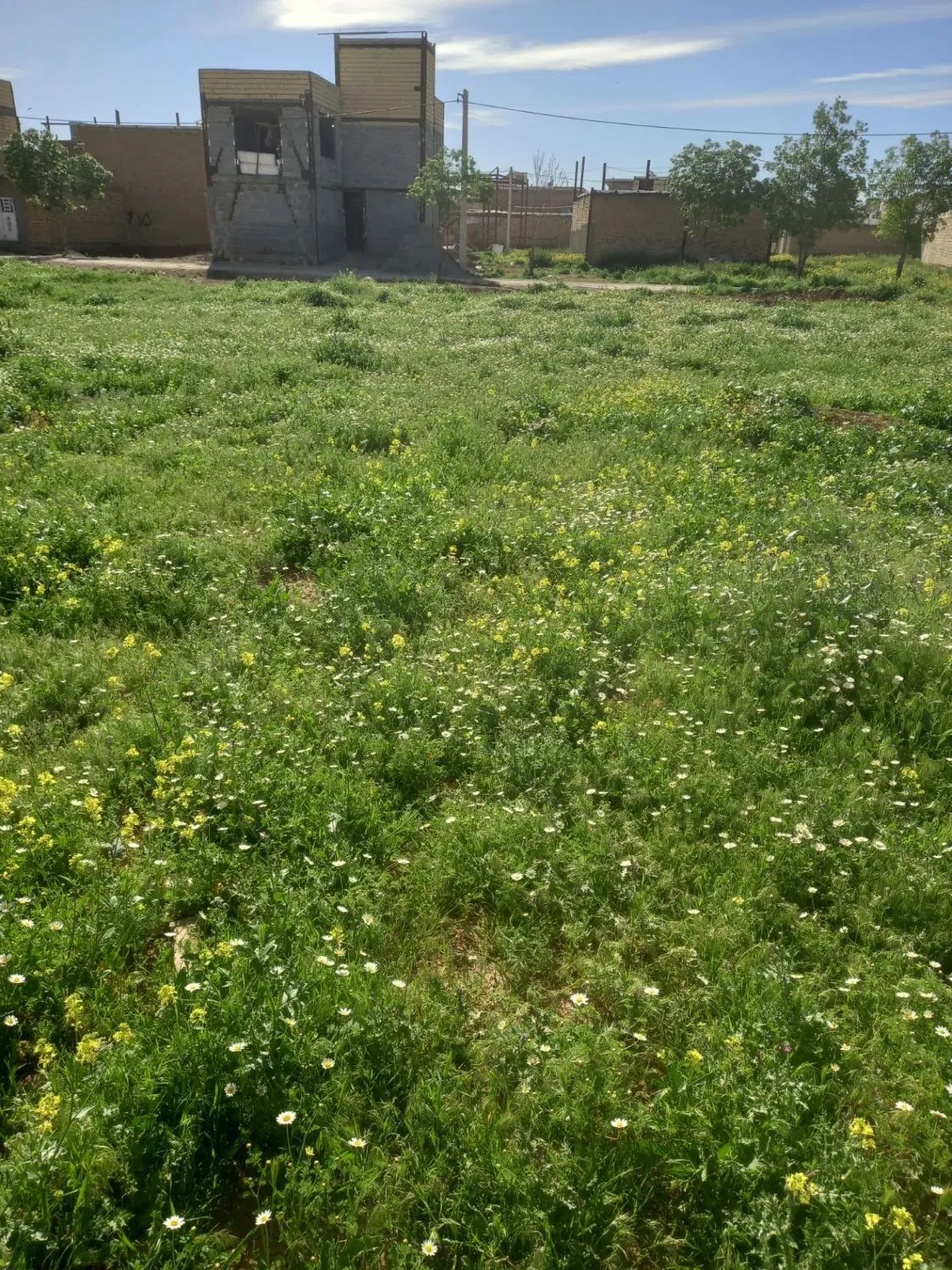 زمین ده پهن