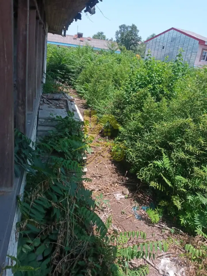 سرمایه گذاری