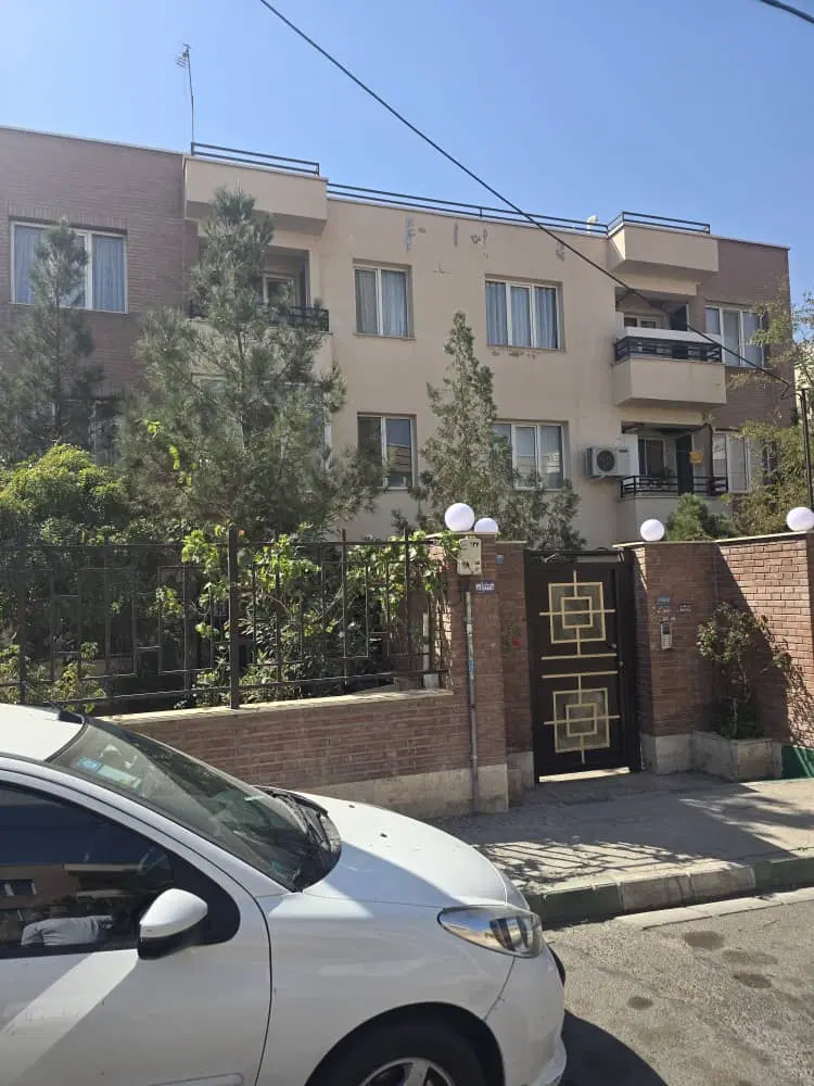 فاز ۳ سند تک برگ