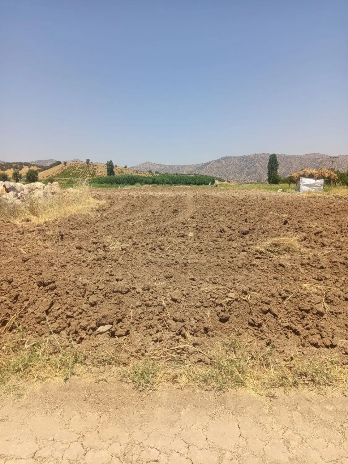 زمین کشاورزی. مناسب باغ