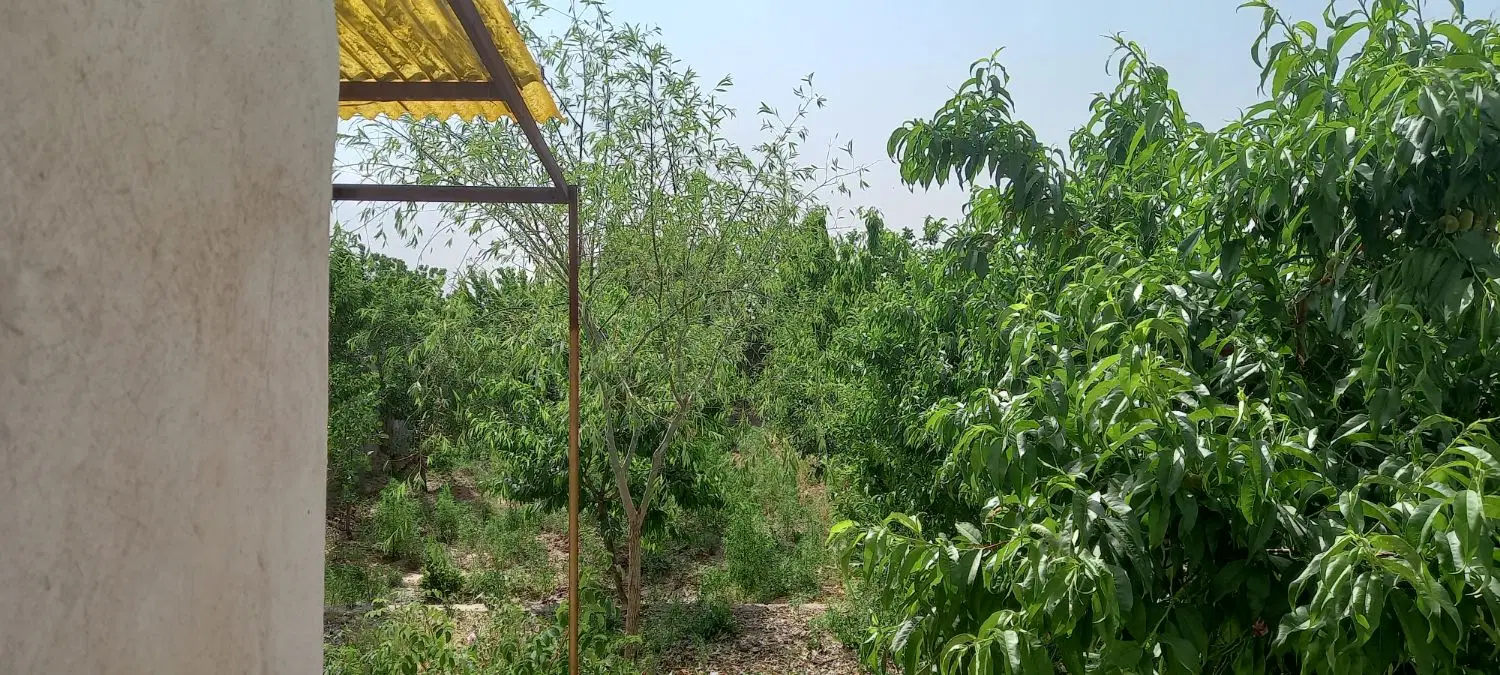 فروش باغچه