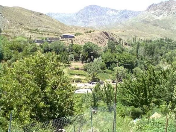 زمین درب‌حیاط_سرباغ