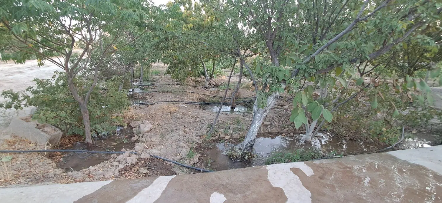 500 متر زمین مناسب باغ