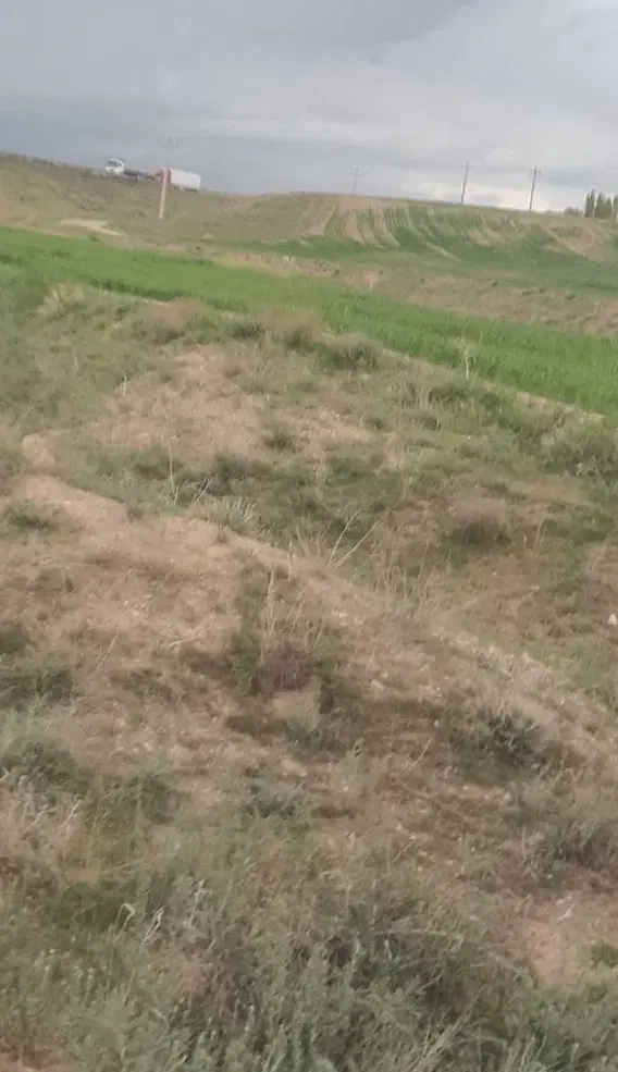 زمین در۱۵کیلومتری زنجان