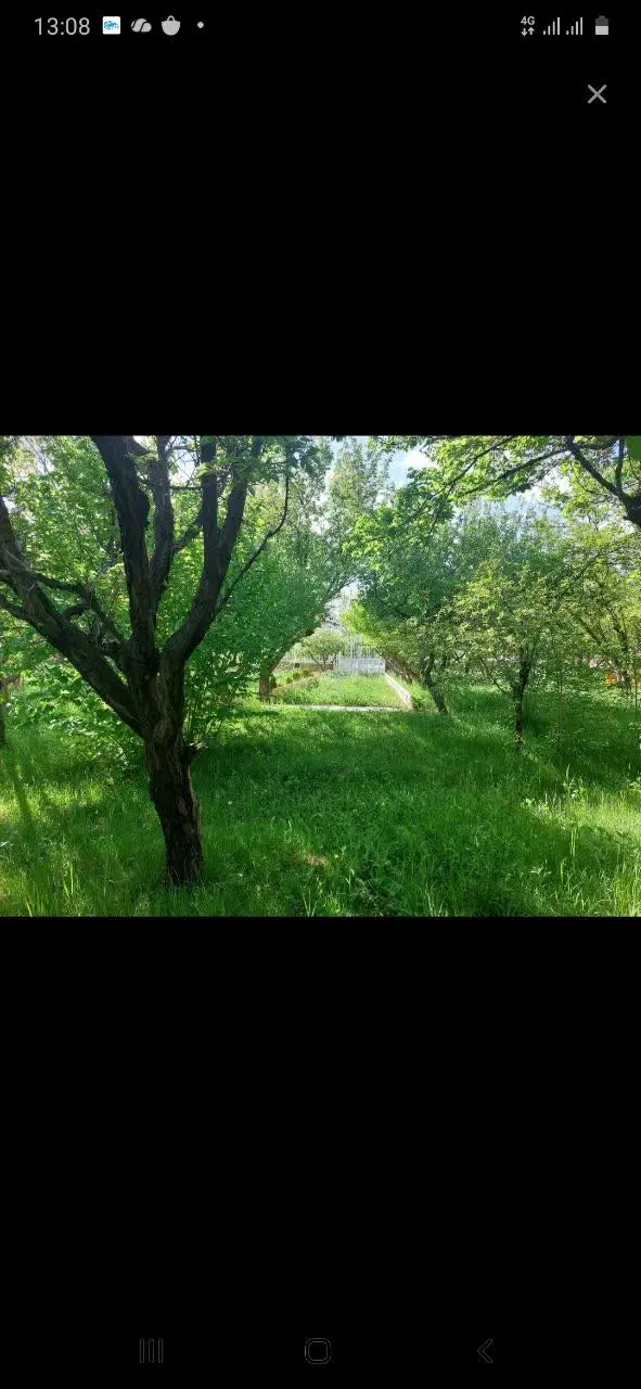 باغشهر تلاش